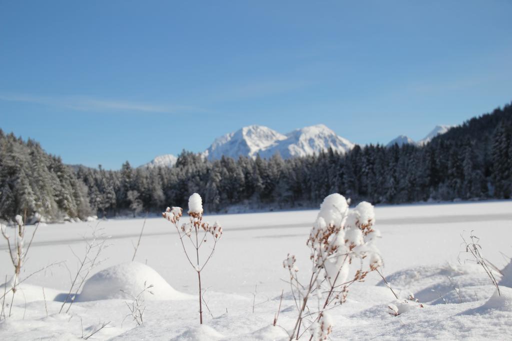 Ferienwohnungen Weiherbach - Hallenbad Berchtesgaden Exterior foto