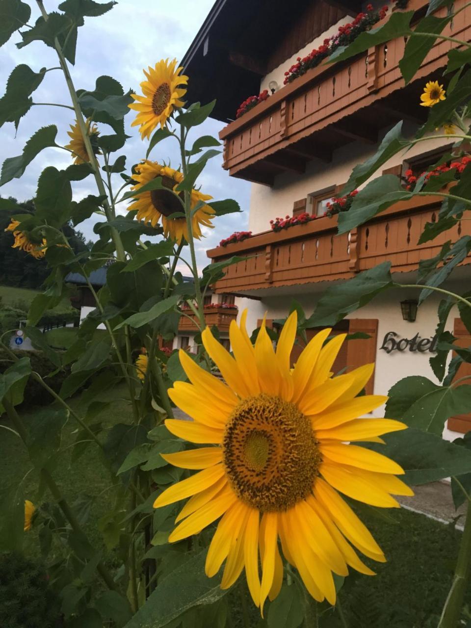 Ferienwohnungen Weiherbach - Hallenbad Berchtesgaden Exterior foto
